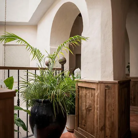 Palmeras Del Califa Country house Vejer de la Frontera