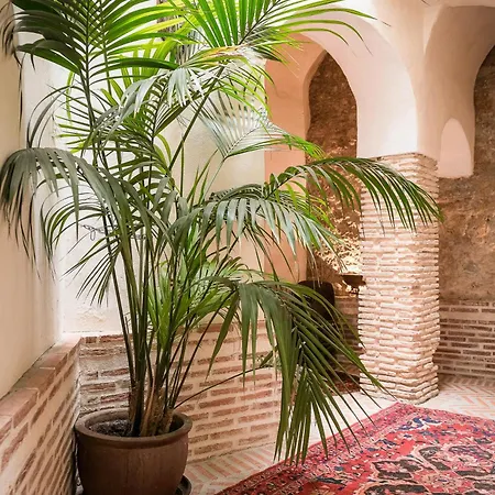 Country house Palmeras Del Califa