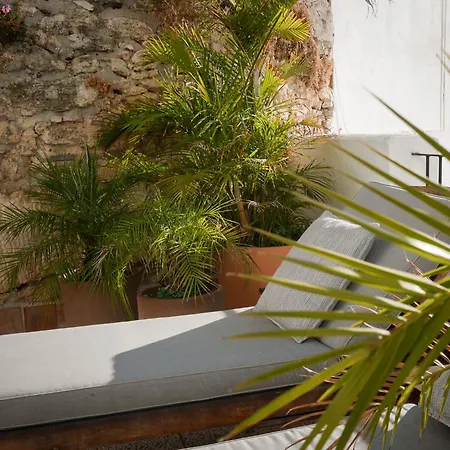 Country house Palmeras Del Califa