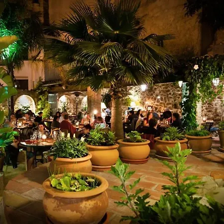 Palmeras Del Califa Vejer de la Frontera