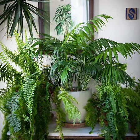 בית כפרי Palmeras Del Califa וחר דה לה פרונטרה